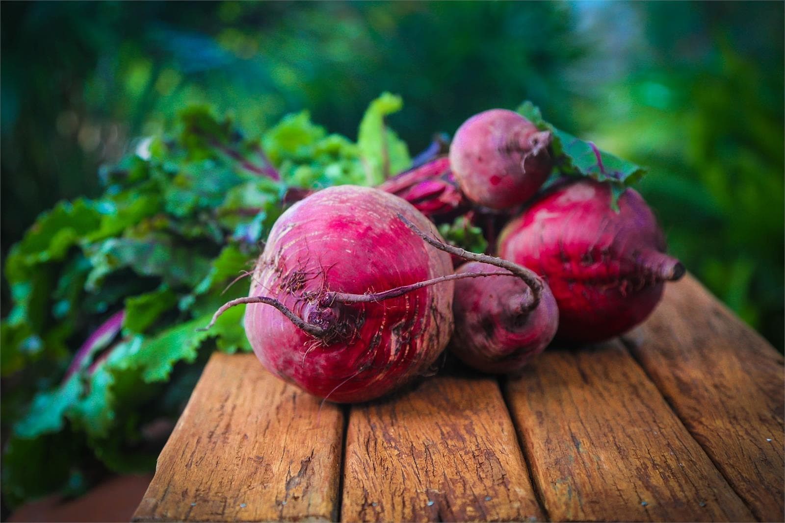 3 consejos para el cultivo de la huerta en junio - Imagen 1