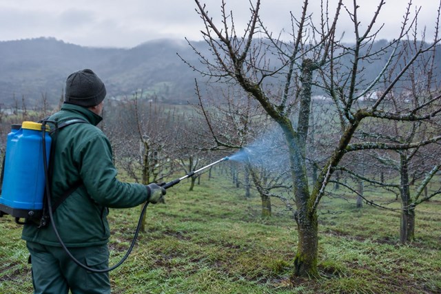Adelántate a las plagas con tratamientos de invierno para vid y frutales en Cerdedo-Cotobade - Imagen 1