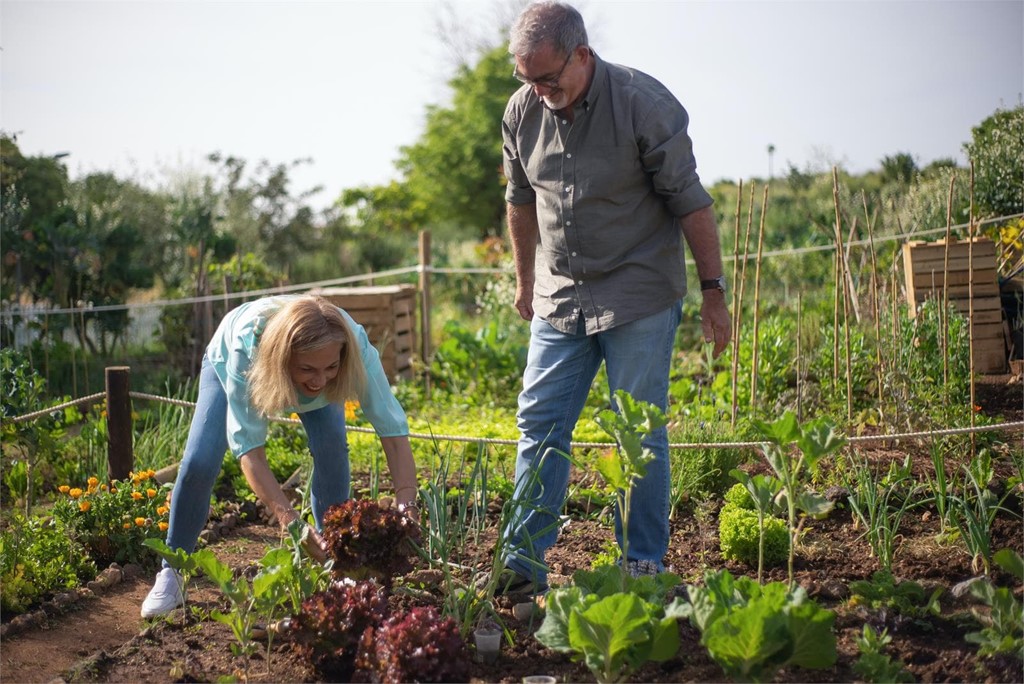 Agricultura ecológica: ¿qué significa?