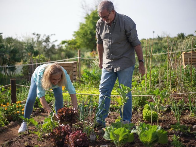 Agricultura ecológica: ¿qué significa?