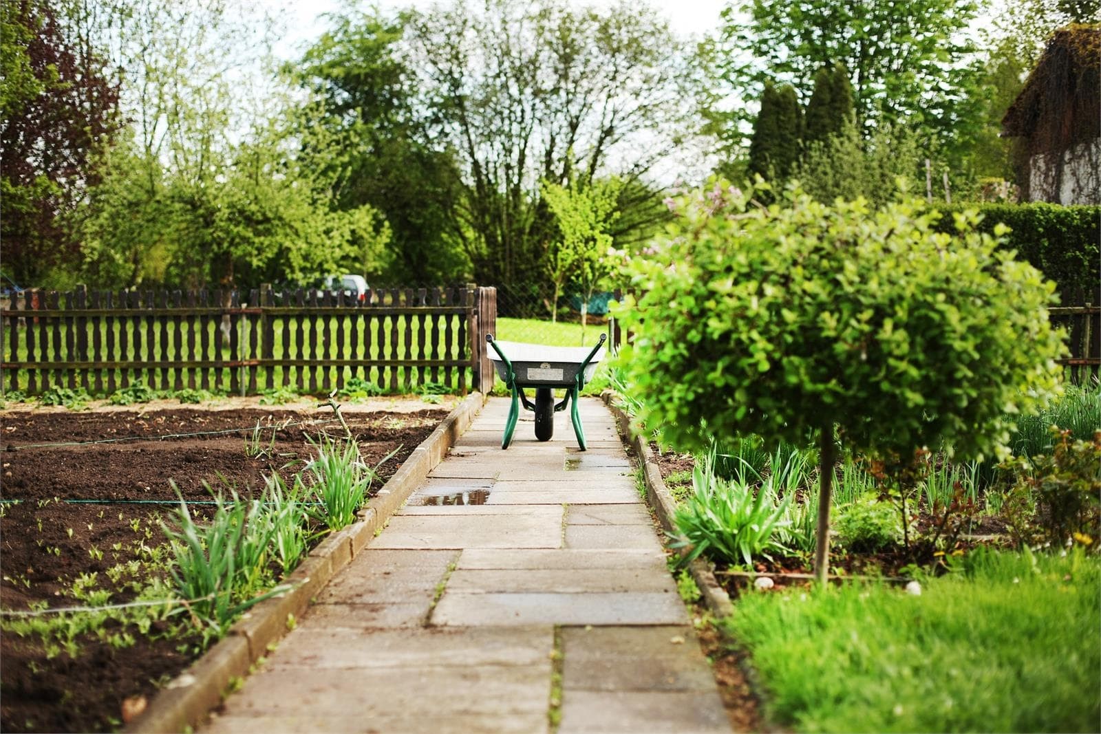 ¿Cómo preparo mi jardín para disfrutarlo este verano? - Imagen 1