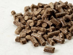 ¿Cómo usar las cenizas de tus pellets en tu jardín?