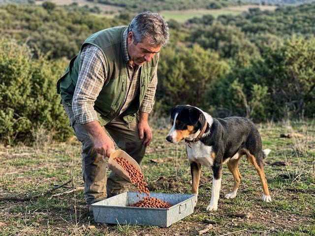 Elegimos contigo el pienso Arion para perros de caza en Cerdedo-Cotobade antes de la temporada