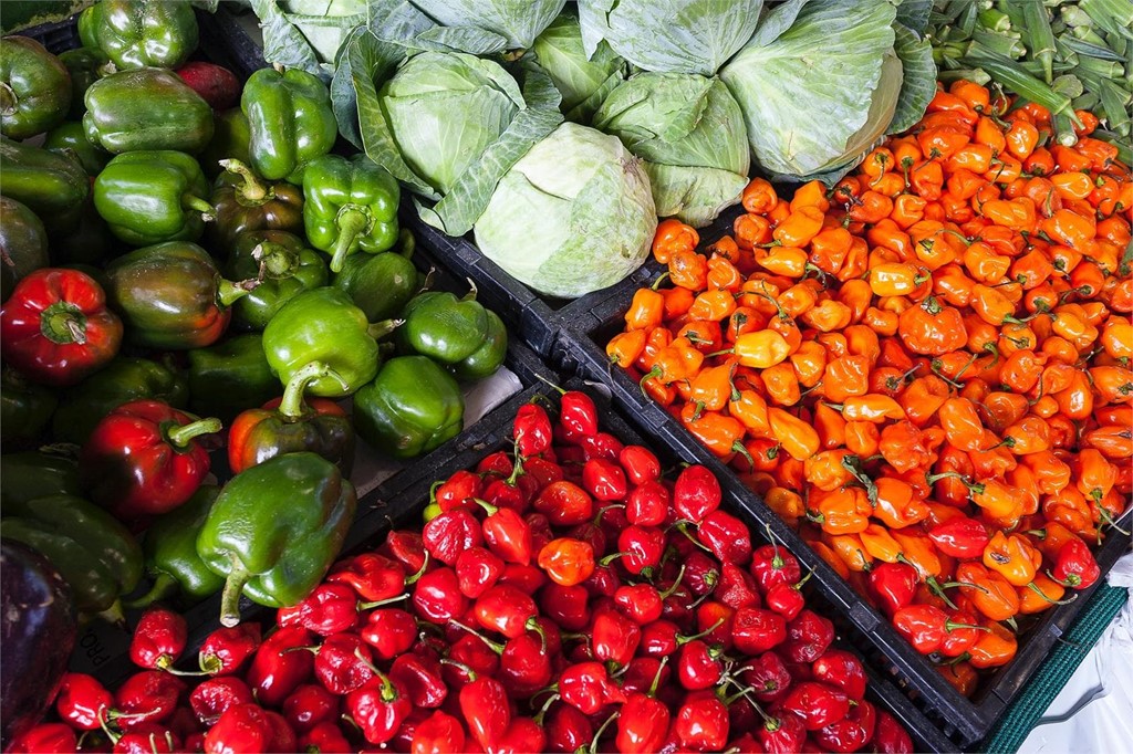 ¡Este año consigue tus propios alimentos apostando por la agricultura ecológica! 