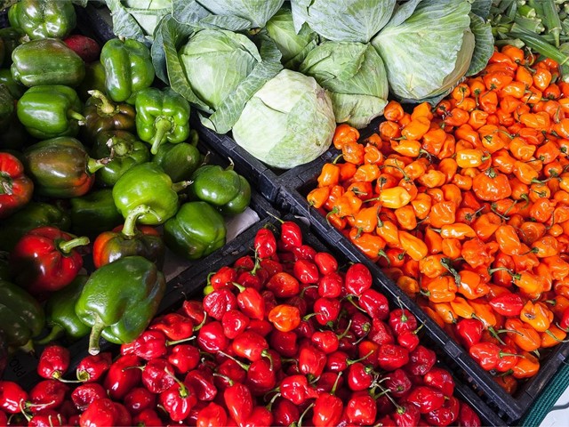 ¡Este año consigue tus propios alimentos apostando por la agricultura ecológica! 