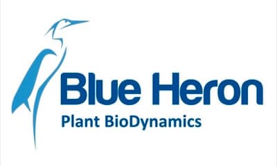Logo Blueheron