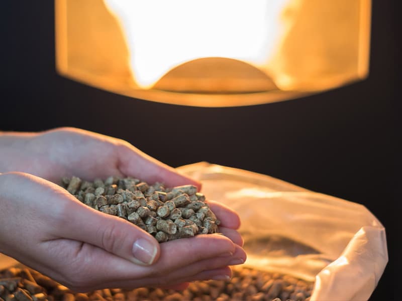 pellets en Pontevedra