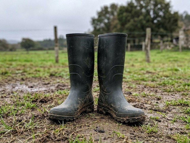 Más agarre en el barro de la pradera con botas y katiuskas Dunlop y Rouchette en Cerdedo-Cotobade