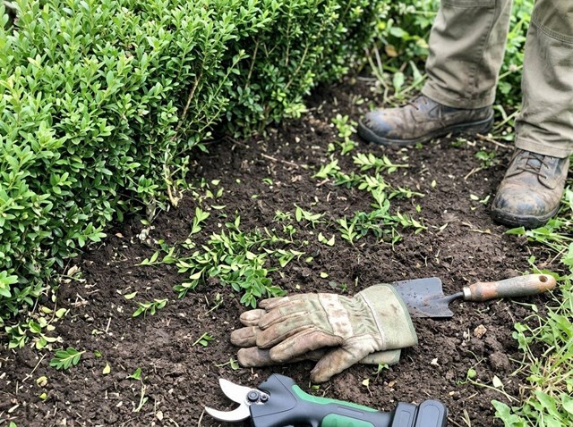 Podar a diario el huerto resulta más cómodo con herramientas a batería para jardín en Pontevedra - Imagen 1