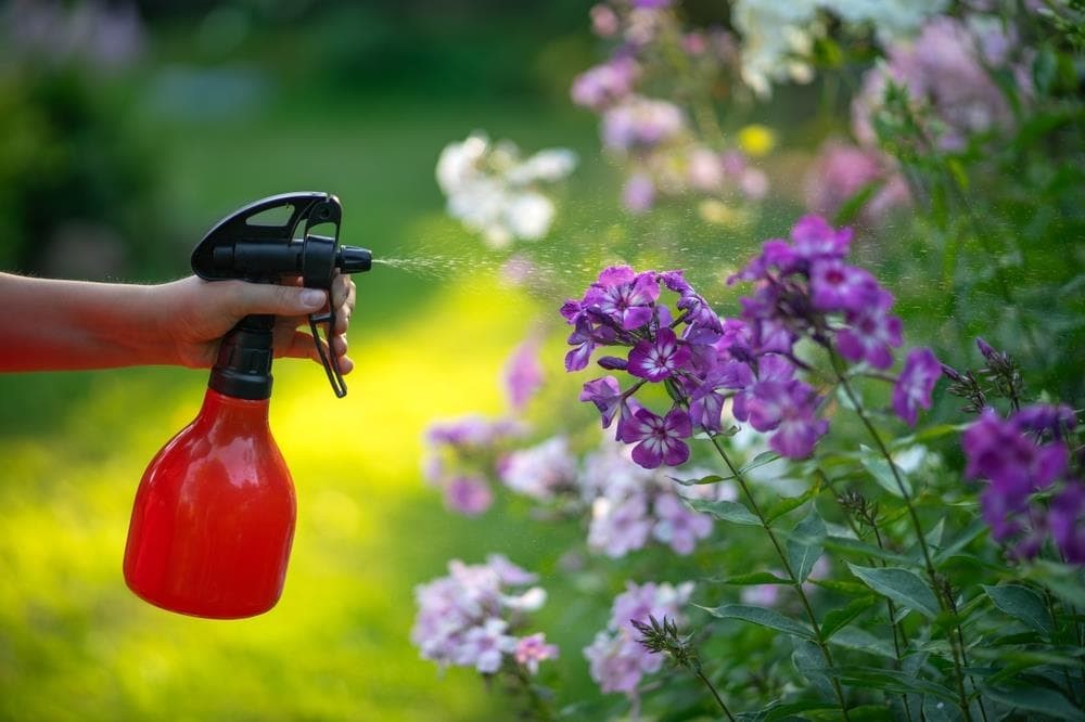 ¿Por qué utilizar fungicidas naturales o ecológicos?