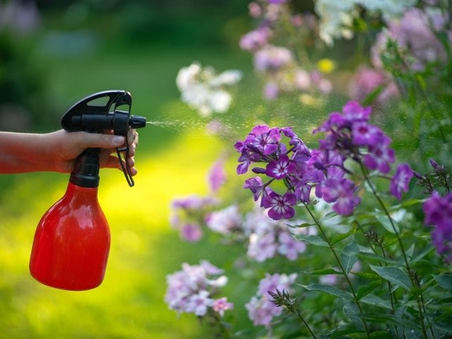 ¿Por qué utilizar fungicidas naturales o ecológicos?