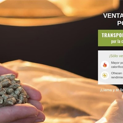 ¿Por qué vendemos únicamente pellets de madera en Pontevedra?