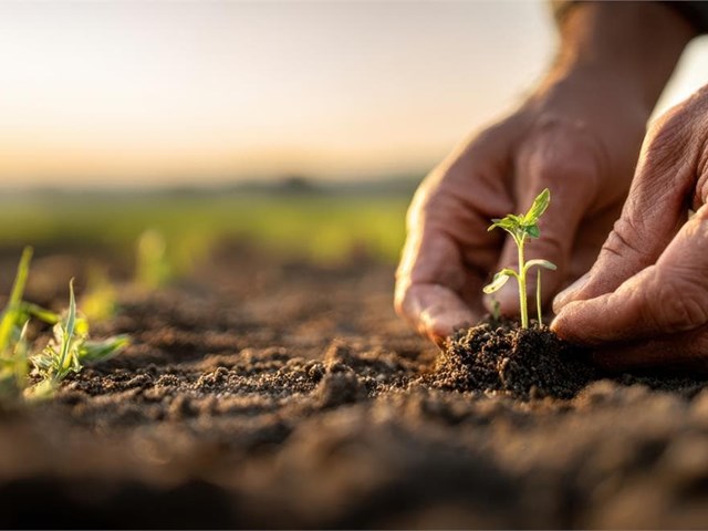 ¿Qué es la agricultura ecológica y cuáles son sus beneficios?