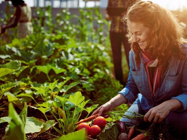 ¿Qué plantar en el huerto en marzo?