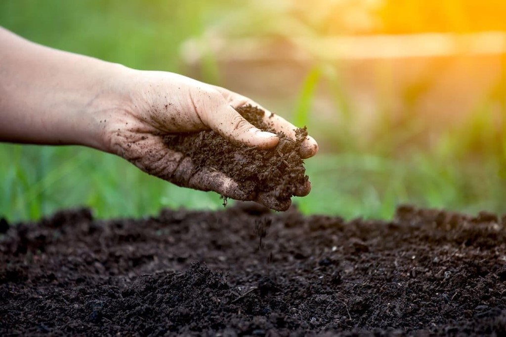 ¿Qué se considera agricultura ecológica?