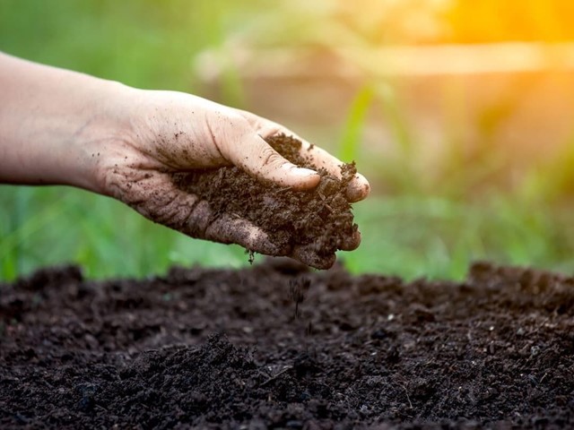 ¿Qué se considera agricultura ecológica?