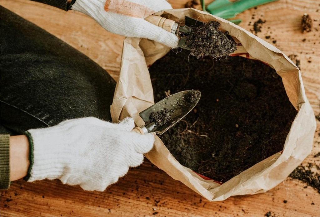 Sustratos y tierras de calidad para un crecimiento óptimo de tus plantas