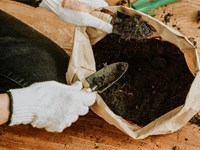 Sustratos y tierras de calidad para un crecimiento óptimo de tus plantas