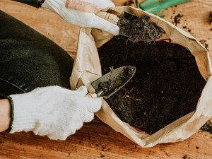 Sustratos y tierras de calidad para un crecimiento óptimo de tus plantas