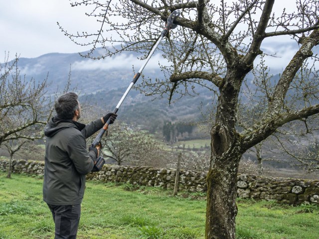 Termina antes la campaña en frutales y viñedo con maquinaria de poda en Cerdedo-Cotobade